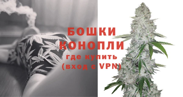 прущие грибы Бабаево