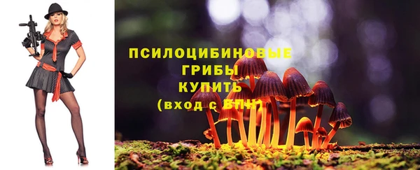 прущие грибы Бабаево