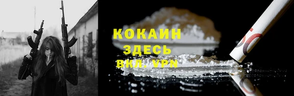 прущие грибы Бабаево