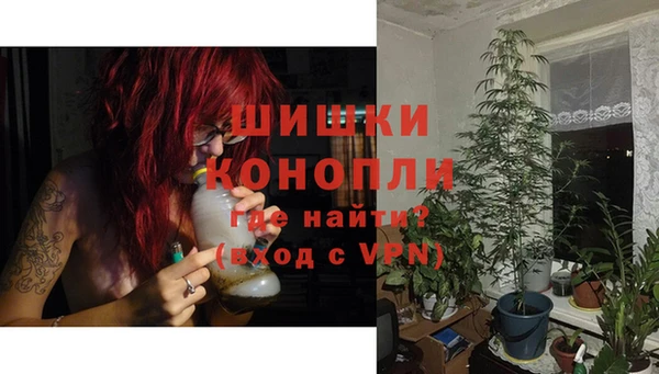 прущие грибы Бабаево